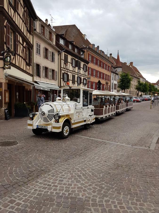 Les Colombages Daire Colmar Dış mekan fotoğraf