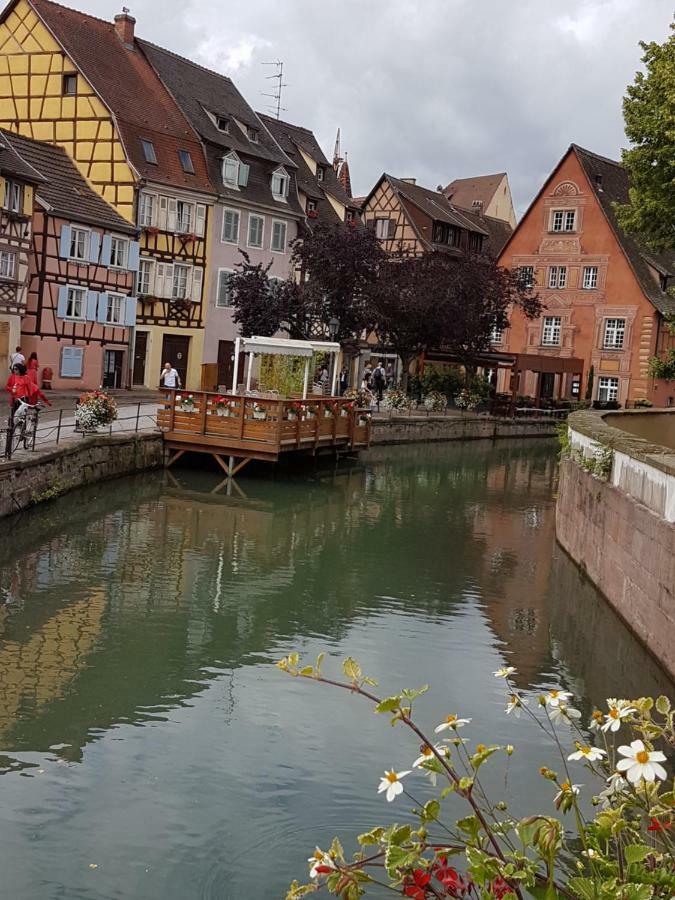 Les Colombages Daire Colmar Dış mekan fotoğraf